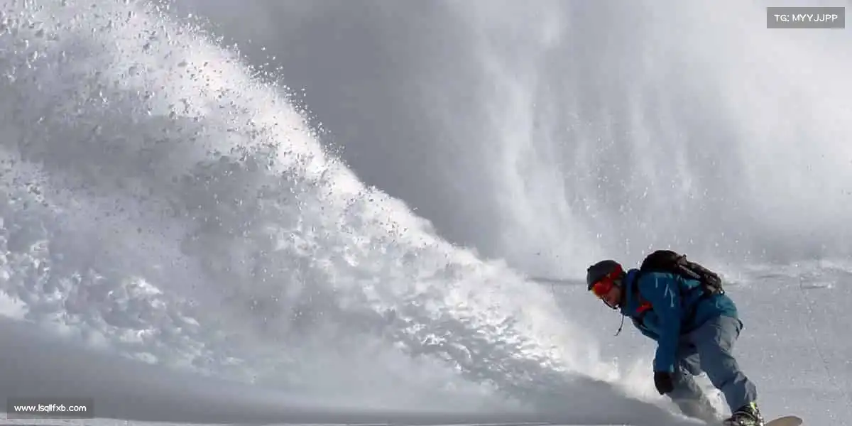 为什么选择我们